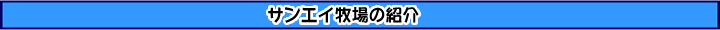 ƒTƒ“ƒGƒC–qê‚ÌЉî