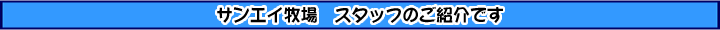 �T���G�C�q��@�X�^�b�t�̂��Љ�ł�
