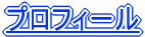�v���t�B�[��